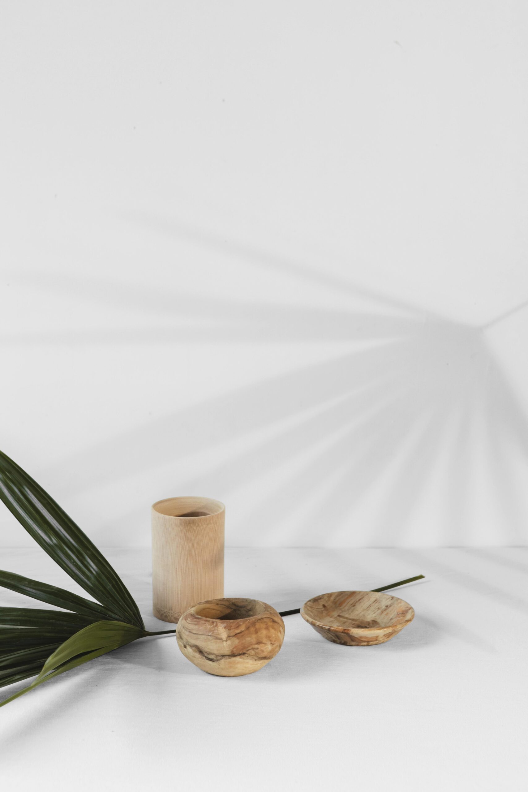 Holistic Wellness section 2