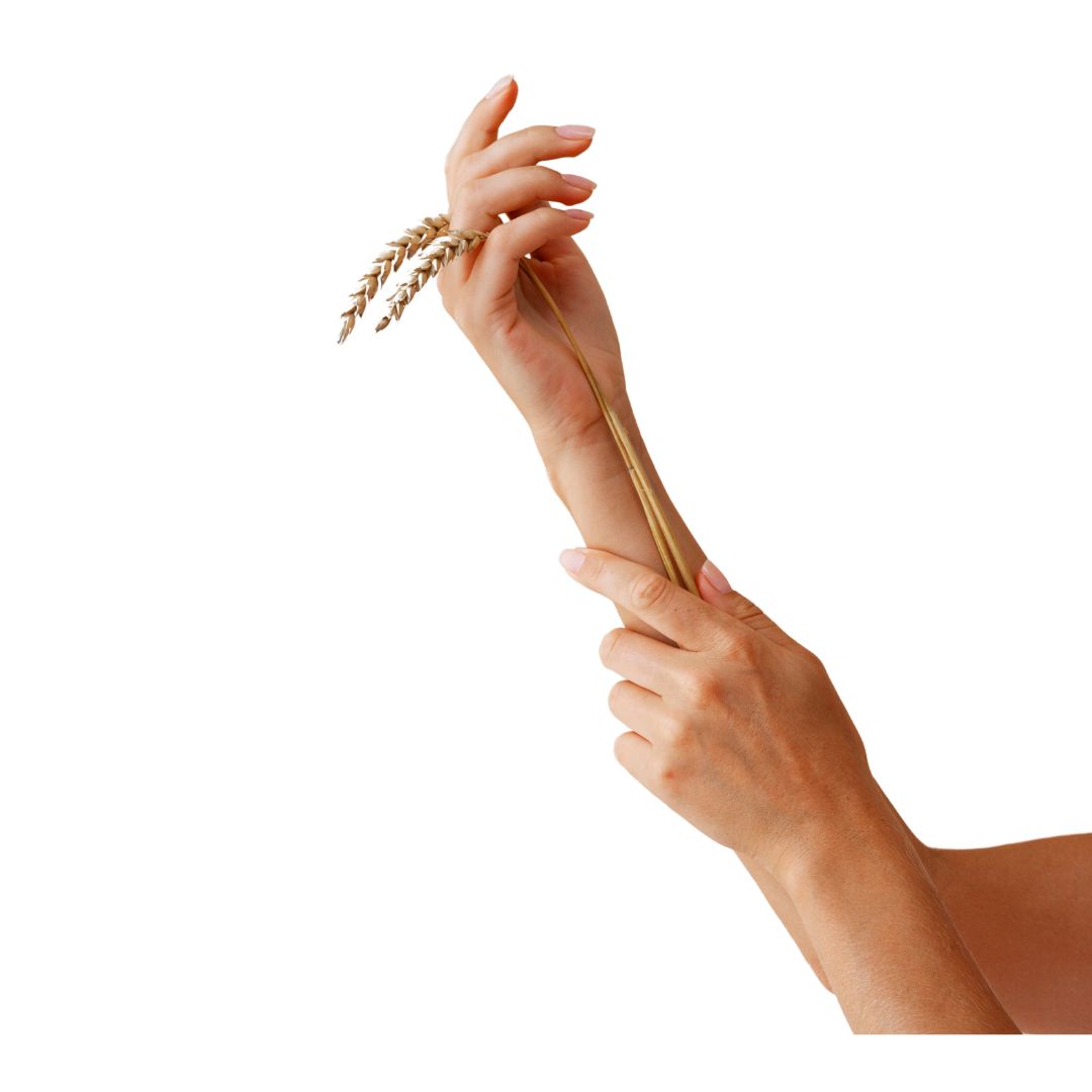 Vaginoplasty section 2