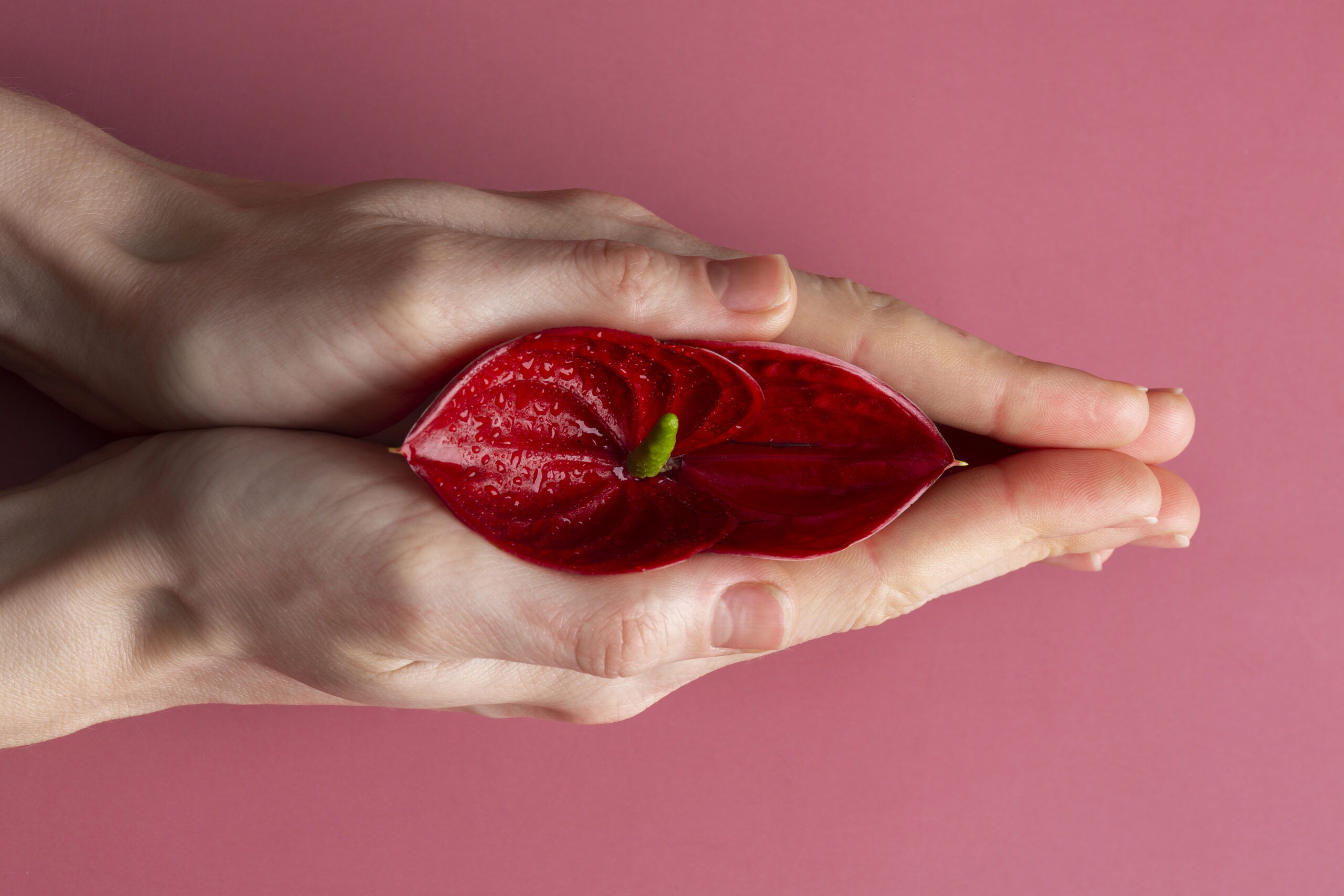 labiaplasty recovery time